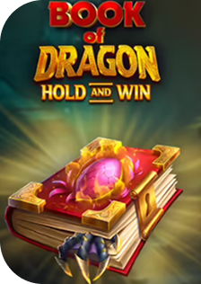 BOOK OF DraGON